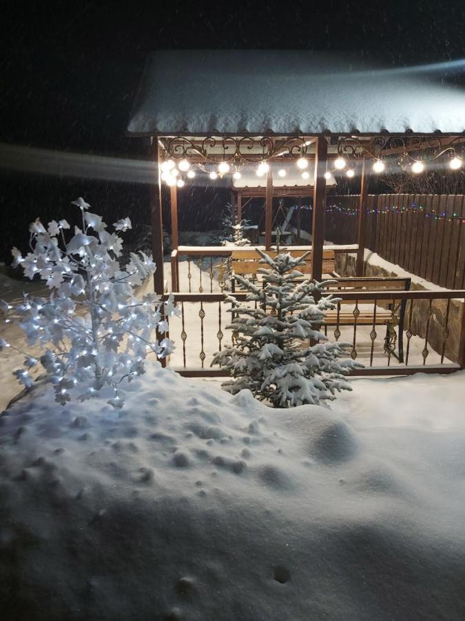 Konstantine'S Chalet Bakuriani Eksteriør bilde